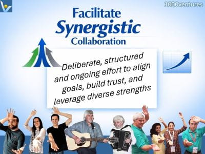 Innovative Orhganization: Facilitate Synergistic Collaboration
