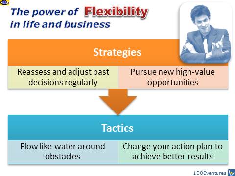 Benefits of Strategic Flexibility, Vadim Kotelnikov emfographics