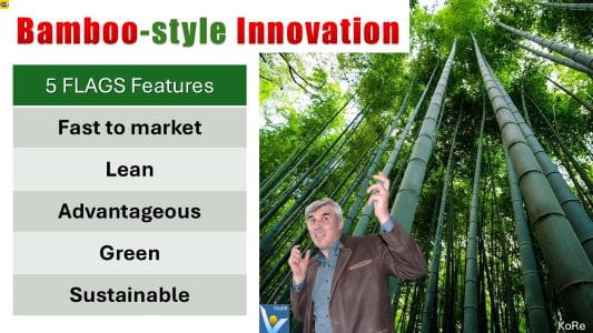 Bamboo-style Innovation -  fast to market, lean, advantageous