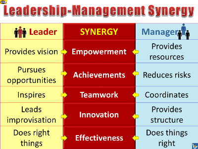 Leadership and Management Skills, Leader-Managerr Synergy