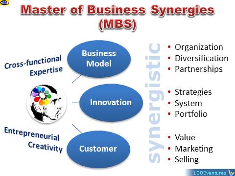 Top Management Skills: Master of Business Synergies (MBS)