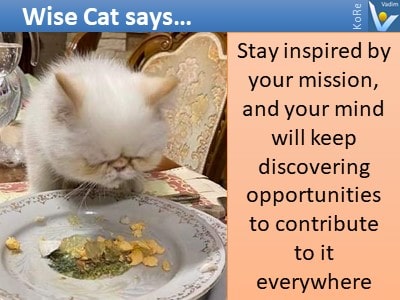 Wise Cat Says... humorous picture opportunities VadiK jokes