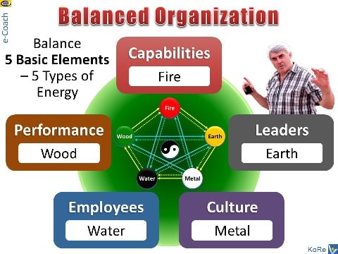 Balanced Organization: 5 Basic Elements, Vadim Kotelnikov