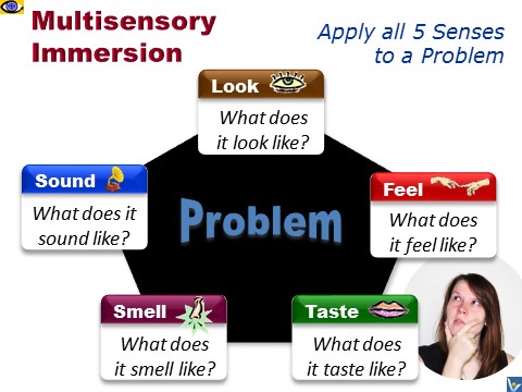 Problem Solving multisensory immersion skills