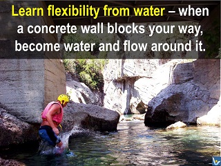 Flexibility quotes Learn from water flow around obstacles Vadim Kotelnikov